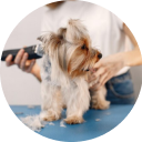 Догляд та гігієна